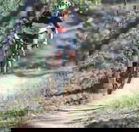 Kidsons Cycles - eAccommodation