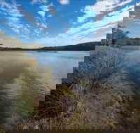 Lake Innes Nature Reserve - eAccommodation