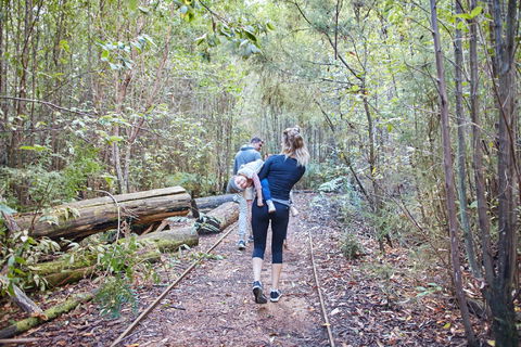 Lyrebird Circuit Walk - eAccommodation 1