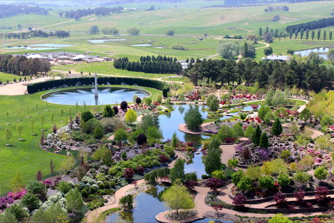 Mayfield - eAccommodation 0