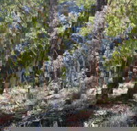 Mount Gray walking track - eAccommodation