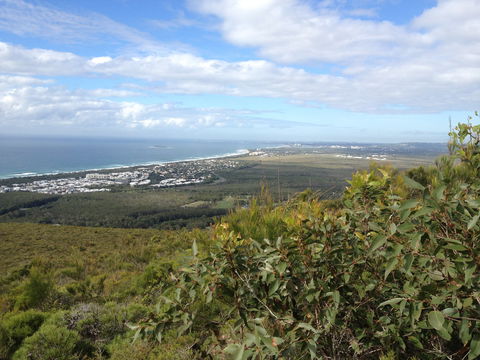 Mount Coolum National Park - eAccommodation 0