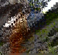 Mystery Face Walking Track - eAccommodation