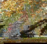 Noreuil Park - eAccommodation