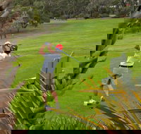 Pambula Merimbula Golf Club - eAccommodation