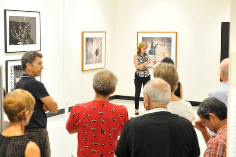 Pine Rivers Art Gallery - eAccommodation 1