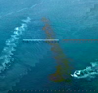 Port Noarlunga Reef Sanctuary Zone - Encounter Marine Park - eAccommodation