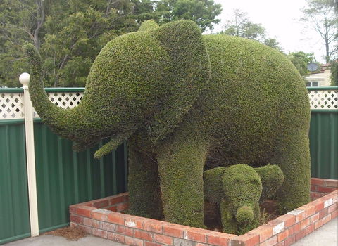 Railton: Town Of Topiary - eAccommodation 0