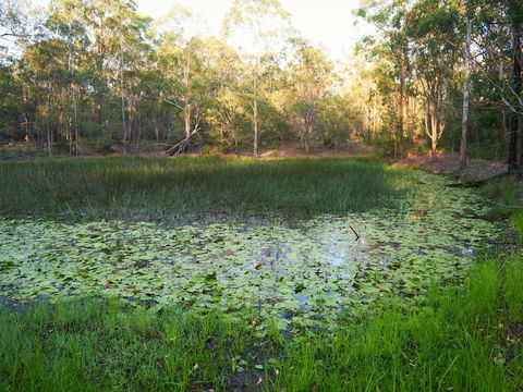 Raysource Road - eAccommodation 2