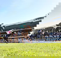 Rosehill Gardens Racecourse - eAccommodation