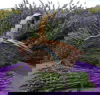 Rustique Lavender Farm - eAccommodation