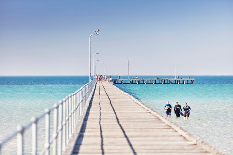 Rye Bay Trial - eAccommodation 1