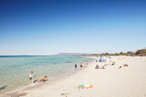 Rye Bay Trial - eAccommodation 2