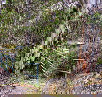 Sawpit Walking Track - eAccommodation