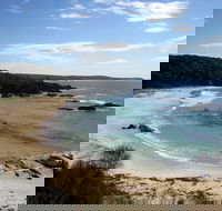 Snorkelling Mystery Bay - eAccommodation