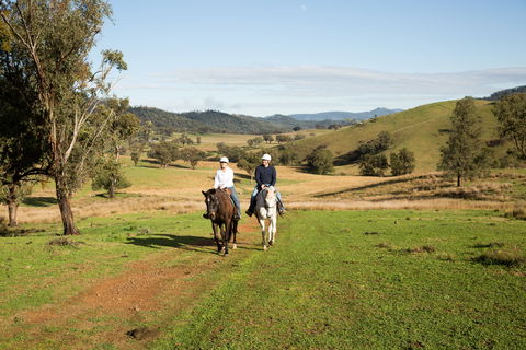 Tamworth And Kootingal Horse Riding Adventures - eAccommodation 0
