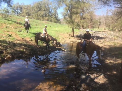 Tamworth And Kootingal Horse Riding Adventures - eAccommodation 2