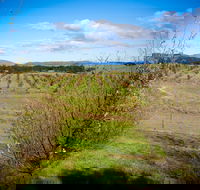 Tarago Truffles - eAccommodation