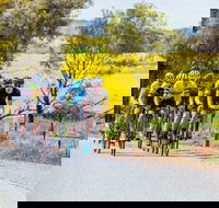 The Heron's Highway - Avon River Cycle Trail - eAccommodation