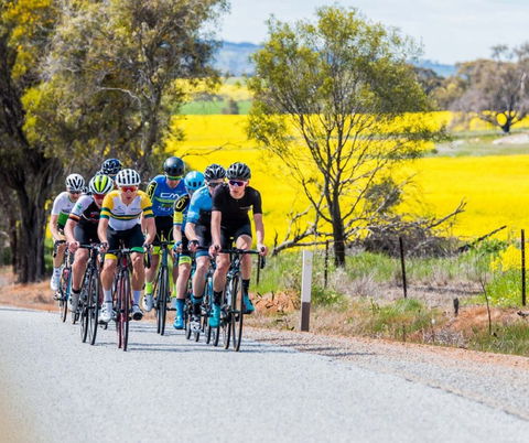 The Heron's Highway - Avon River Cycle Trail - eAccommodation 0