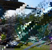 Trees Adventure - Lane Poole Park - eAccommodation