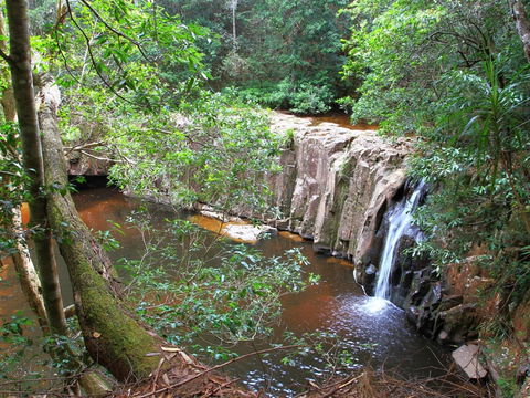 Waitui Falls - eAccommodation 0