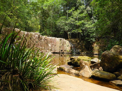 Waitui Falls - eAccommodation 1