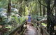 Wirrawilla Rainforest Walk - thumb 2