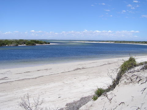 Acraman Creek Conservation Park - eAccommodation 0