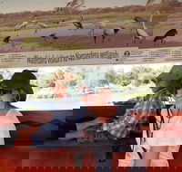 Bird Watching in Narrandera - eAccommodation