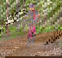 Bom Bom State Forest Mountain Bike Trails - eAccommodation