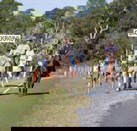 Dayboro - eAccommodation