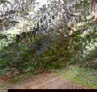End Peak walking track - eAccommodation