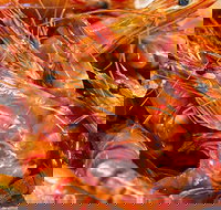 Fish and Fowl - eAccommodation