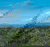 Forest Walking Track Crowdy Bay National Park - eAccommodation
