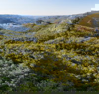 Gold Coast Hinterland Great Walk - eAccommodation