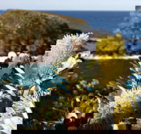 Green Island Walking Track - eAccommodation