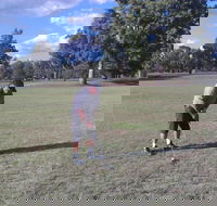 Inverell Golf Club - eAccommodation