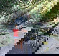 Josephine Falls walking track Wooroonooran National Park - eAccommodation