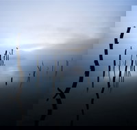 Jounama Creek Walking Track - eAccommodation