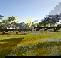 Katherine Railway Trestle Bridge - eAccommodation