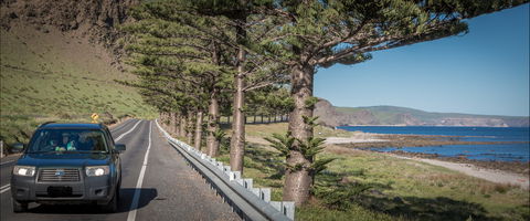 Lady Bay Beach - eAccommodation 0