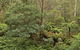 Lind National Park - thumb 0