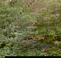 Lind National Park - eAccommodation