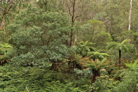 Lind National Park - eAccommodation 0
