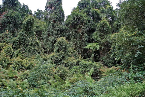 Lind National Park - eAccommodation 1
