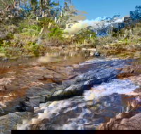 Little Dandahra Creek Walking Track - eAccommodation