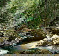 Maleny - eAccommodation