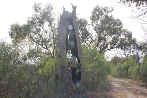 Martin Bend Wetland And Walking Trail - eAccommodation 1