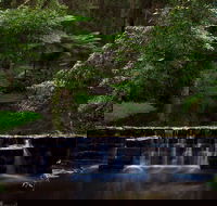 Millards Creek Walk and Cycleway - eAccommodation